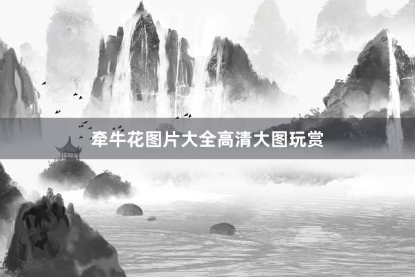 牵牛花图片大全高清大图玩赏