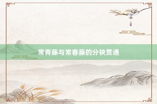常青藤与常春藤的分袂贯通