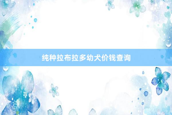 纯种拉布拉多幼犬价钱查询