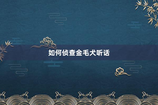 如何侦查金毛犬听话